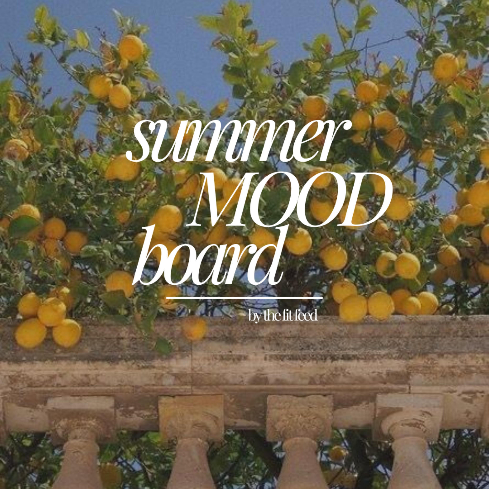 Summer mood board!! 


All Pintrest inspo summer 2024 outfits and everything linked!! Wedding guest inspo, country concerts, summer outfits, etc! 

#LTKParties #LTKStyleTip #LTKFestival