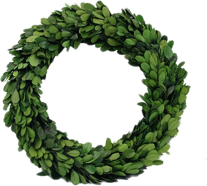 Preserved Garden Boxwood Round Wreath 10" By COCOMIA | Amazon (US)