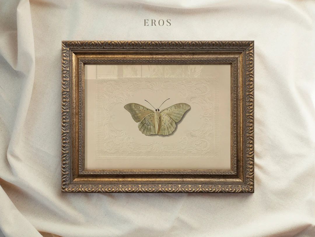 Vintage Art Framed, Butterfly Drawing, Antique Sketch, Vintage Nursery Prints, Ornate Gold Framed... | Etsy (US)
