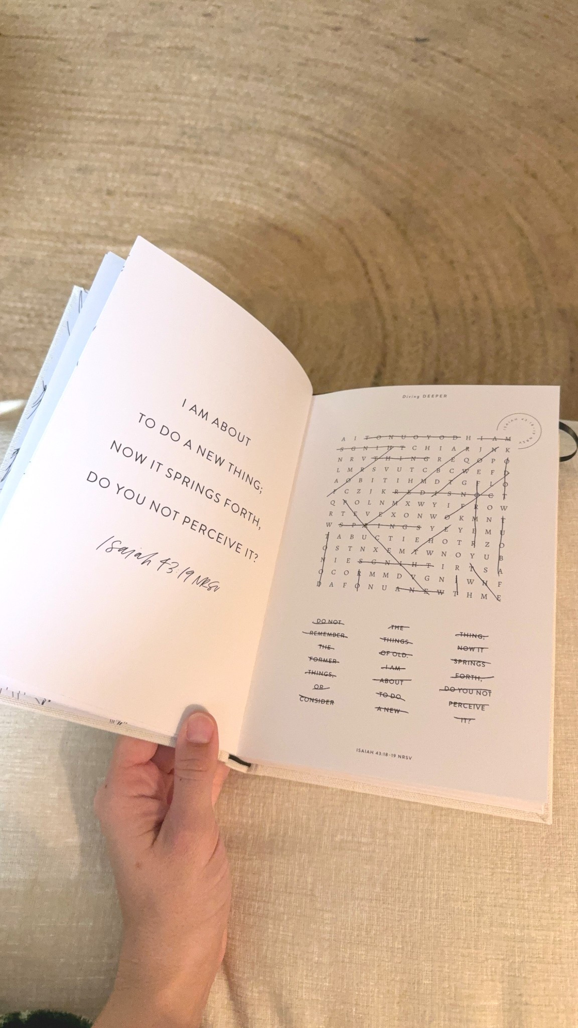 Devotional word search book ✨🫶🏼 

#LTKGiftGuide #LTKmorningroutine #LTKSeasonal