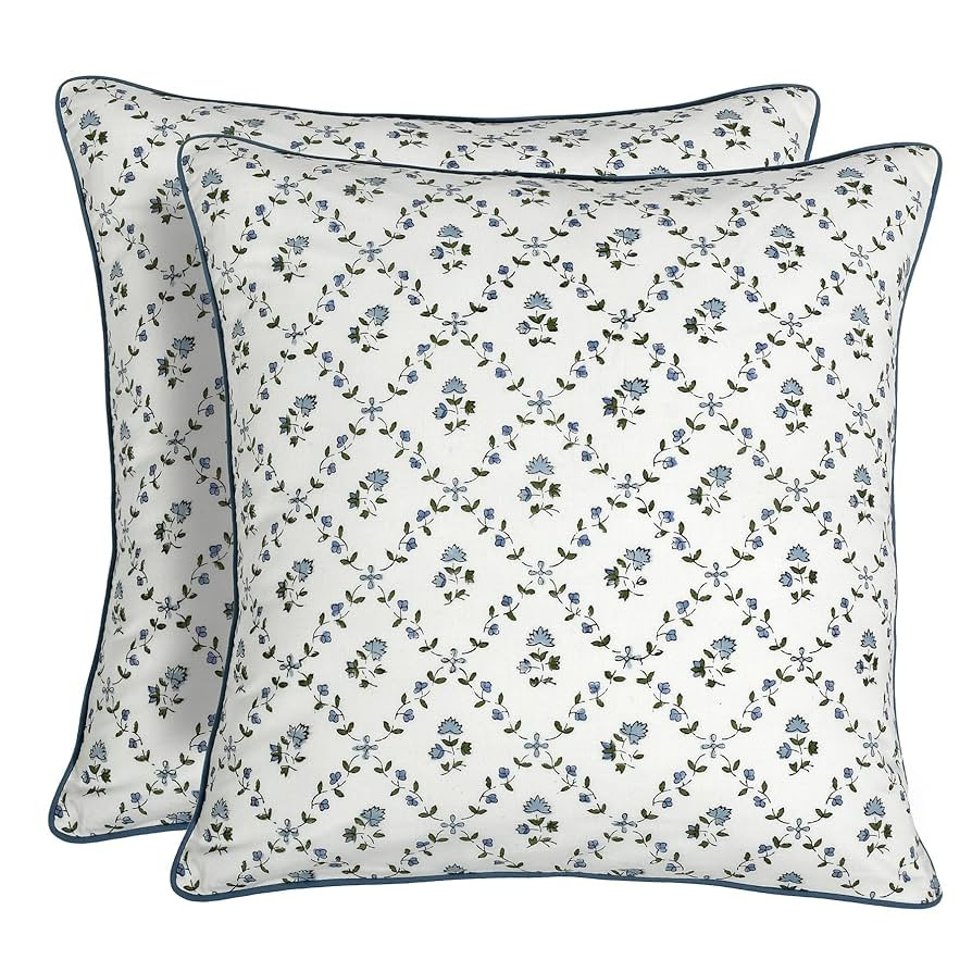 Ridhi Powder Blue Block Print Preppy Grandmillennial Pillow Cover Set of 2-20" x 20" Throw Pillow... | Amazon (US)