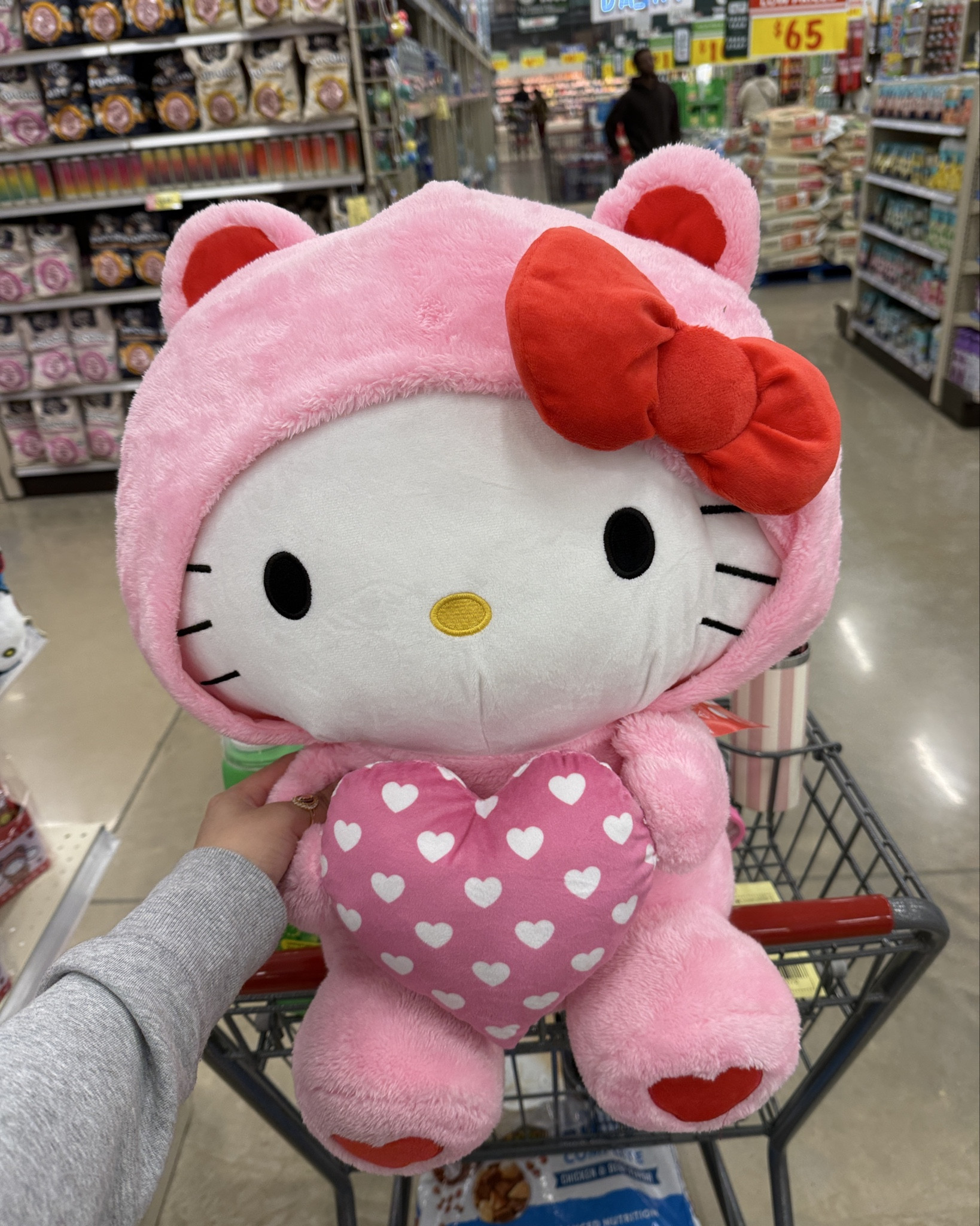 Hello Kitty X H-E-B 😩🫶🏼💖

#LTKdayinmylife #LTKSeasonal #LTKBeauty