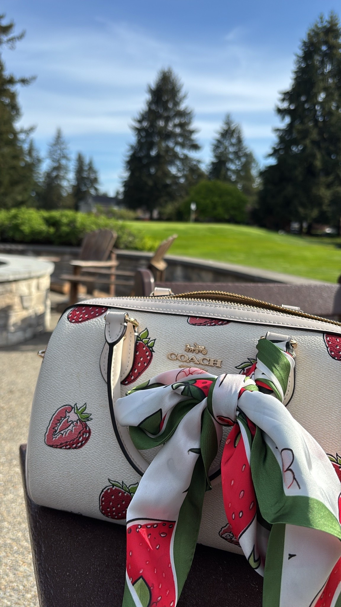 Coach on the course ⛳️🍓

#LTKMothersDay #LTKdayinmylife #LTKOver40