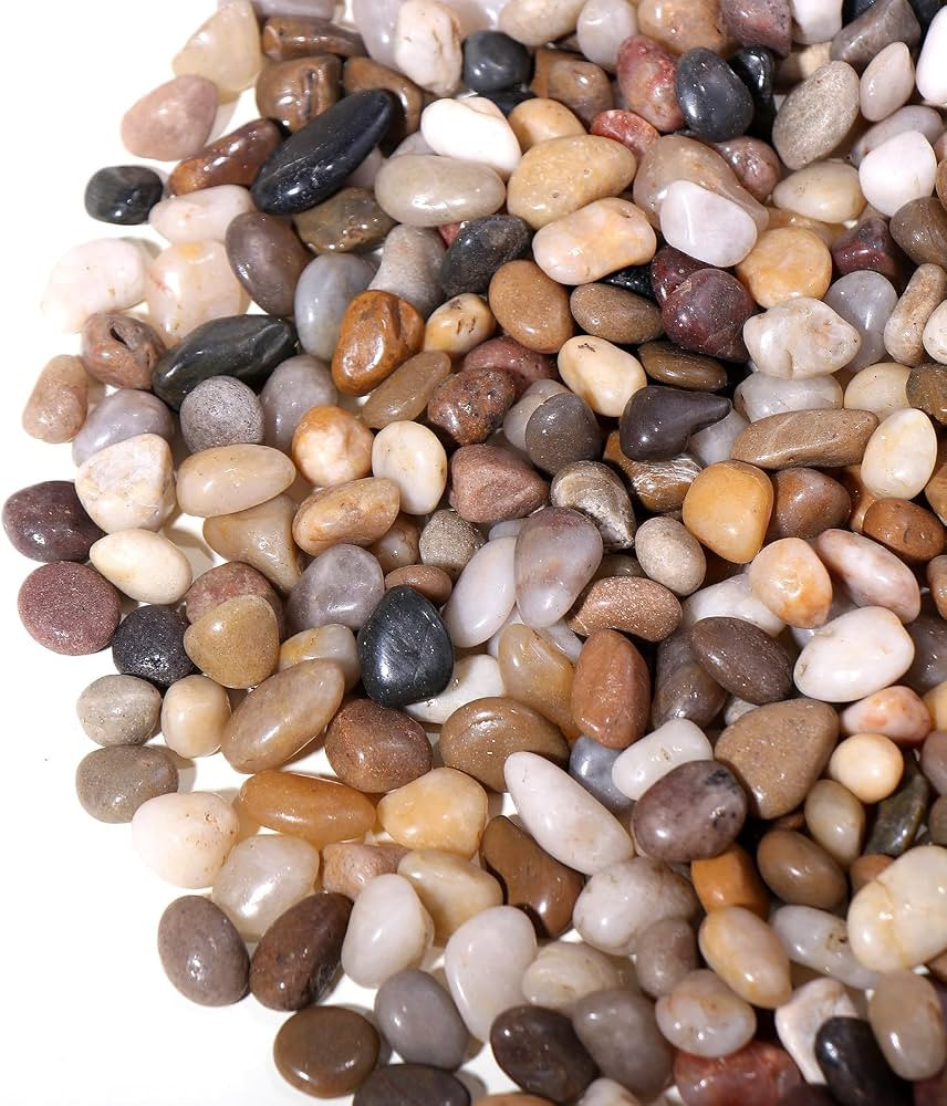 10lbs Rocks for Plants Indoor, 3/8 Inch Small Pebbles for Plants, Aquariums, Bamboo, Vase, Succul... | Amazon (US)