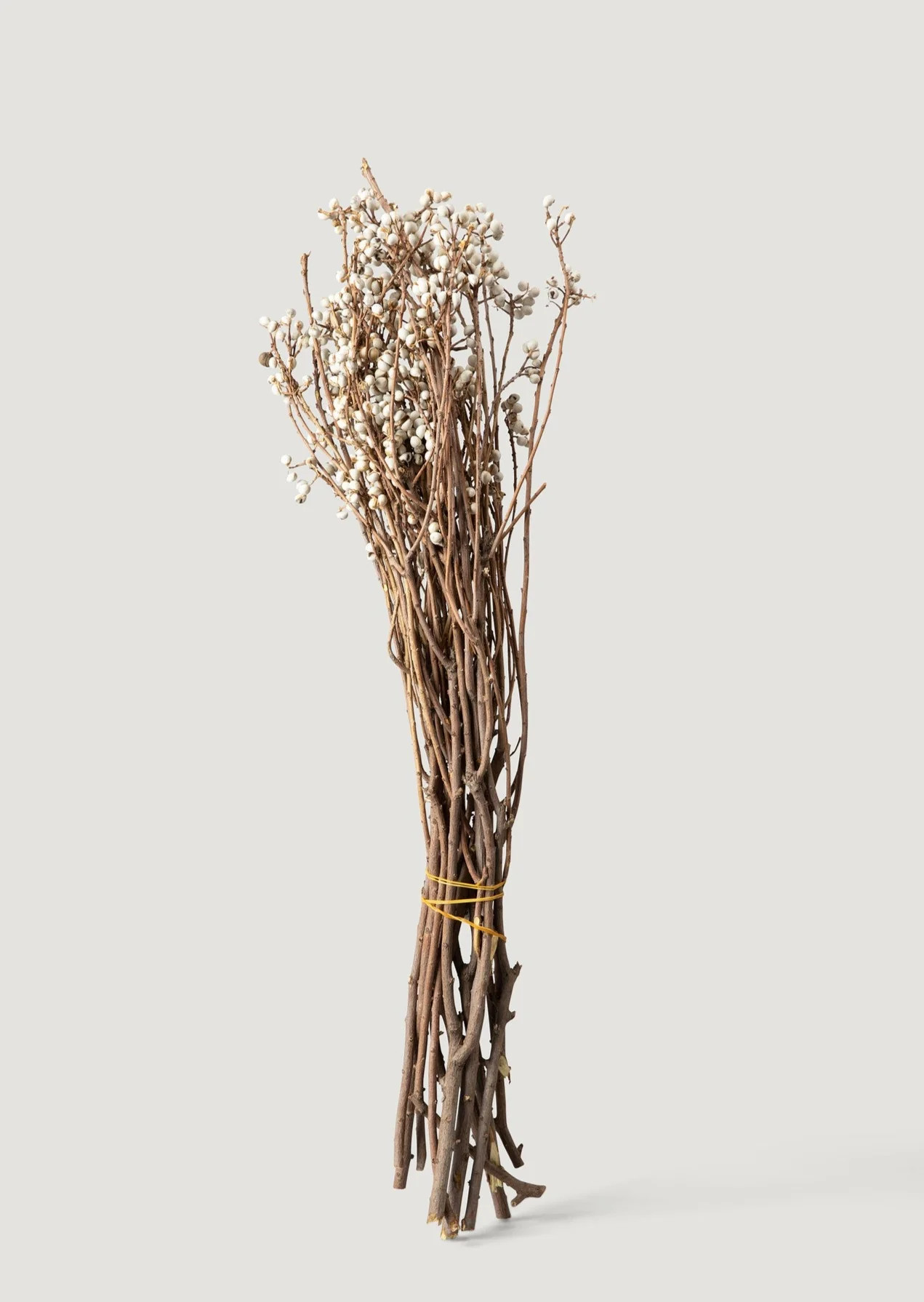 Natural Dried Flowers | Tallow Berry | Flowers at Afloral.com | Afloral