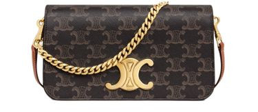 Multipochette in Triomphe canvas and calfskin - CELINE | 24S (APAC/EU)