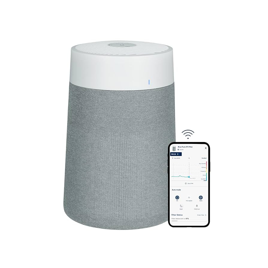 BLUEAIR Air Purifier for Small Room, Bedroom, Home, Cleans 926 sqft in one hour, HEPASilent Air C... | Amazon (US)