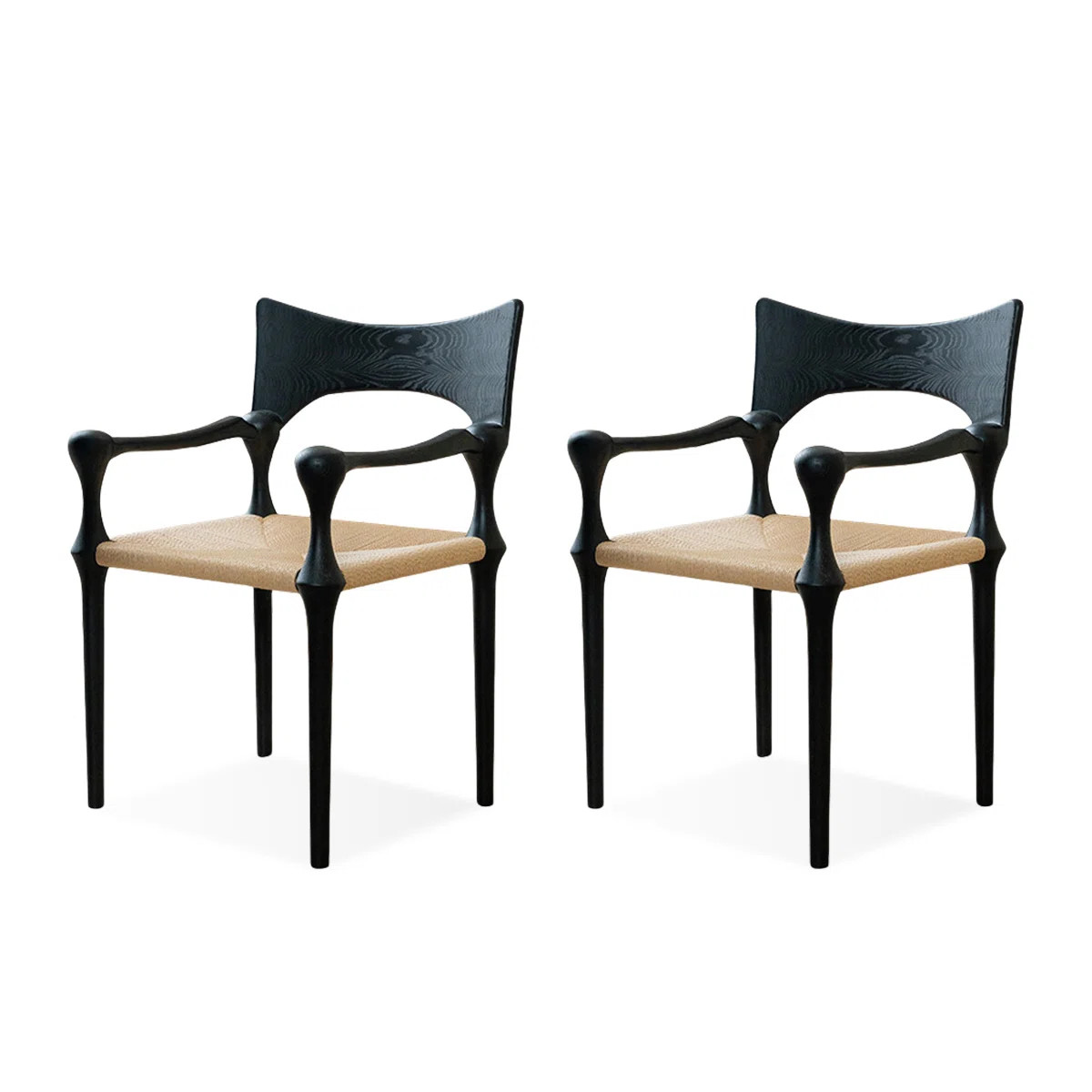 Mont Bike Solutions 19.69" Black Solid back ARM Chair(Set of 2) | Wayfair | Wayfair North America