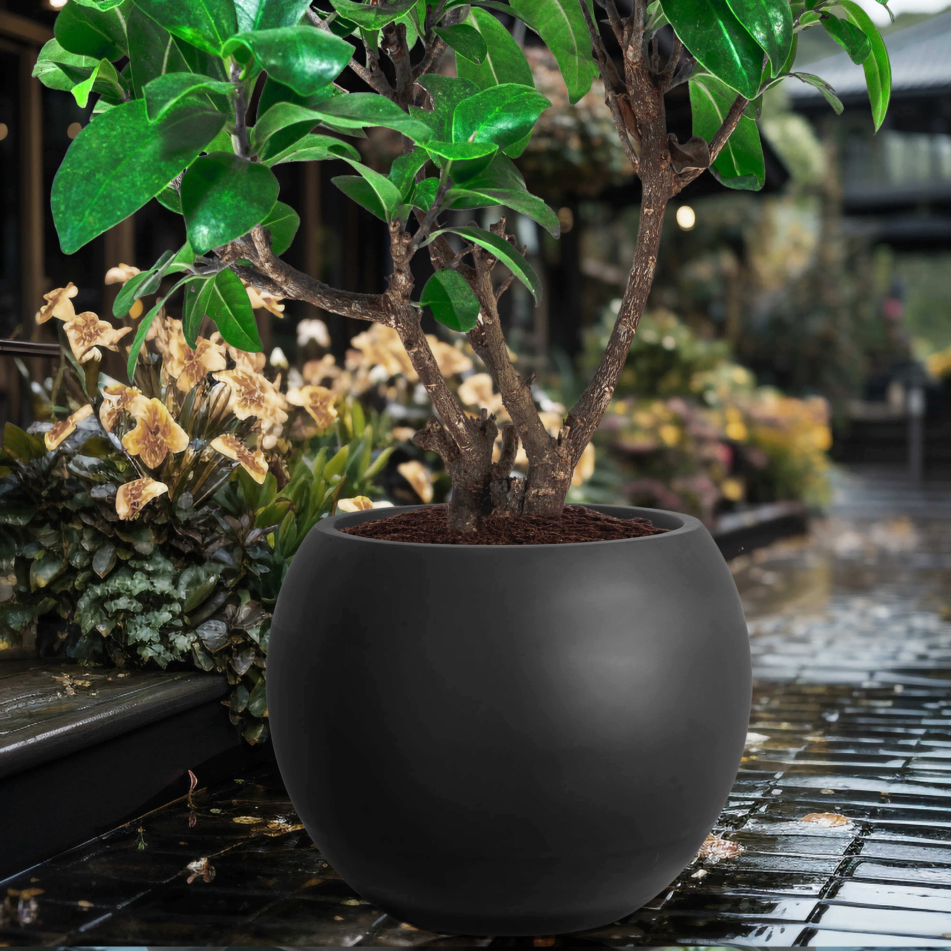 Modern Style Outdoor Planters For Porch, Round Planter With Drainage Hole, Mgo Flower Pots, Balco... | Wayfair North America