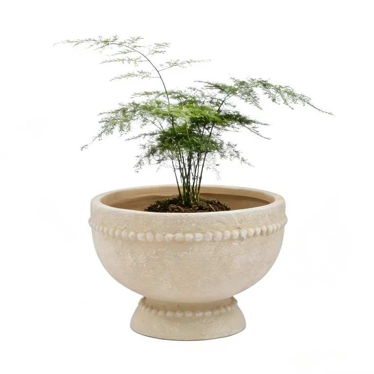 8" White Resin Dot Bowl Planter Pot, 8.1" Diameter Round Flower Pot with Drainage Hole, Lightweig... | Walmart (US)