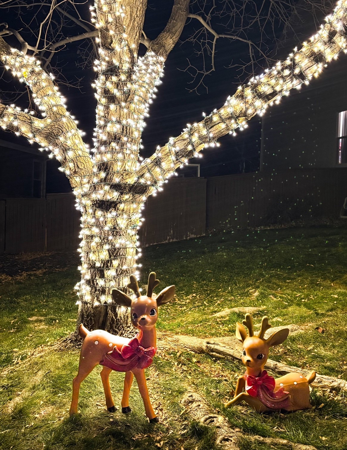 Vintage reindeer 

#LTKHoliday #LTKHome #LTKFindsUnder100