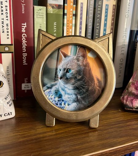 The purrfect picture for the purrfect frame! This cat picture frame is available in a bunch of colors 😻✨

#LTKSeasonal #LTKunder50 #LTKhome