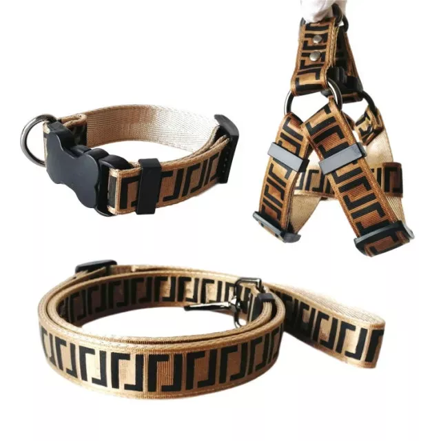 Designer dog on sale collars and leashes