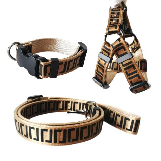 Luxury Dog Collars Leashes Set Designer Dog Leash Seat Belts Pet Collar and Pets Chain for Small ... | DHGate