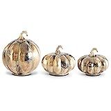 K&K Interiors 42048A Set of 3 Champagne & Copper Marbled Glass Pumpkins, Champagne | Amazon (US)