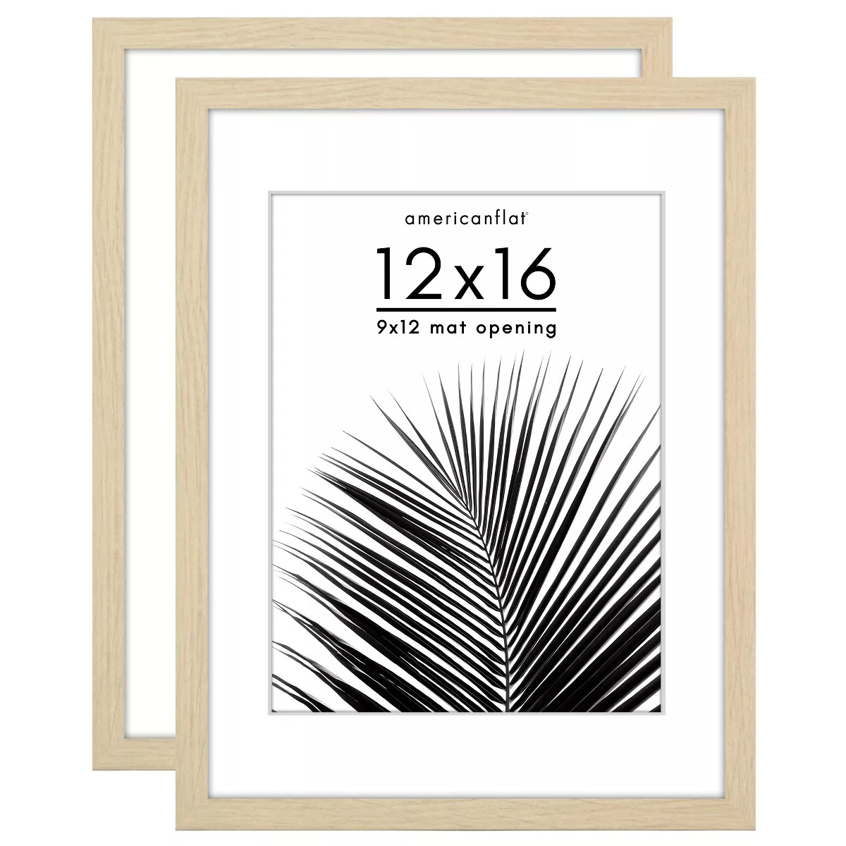 Americanflat 2 Pack of Picture Frames with Mat - Plexiglass Cover | Target