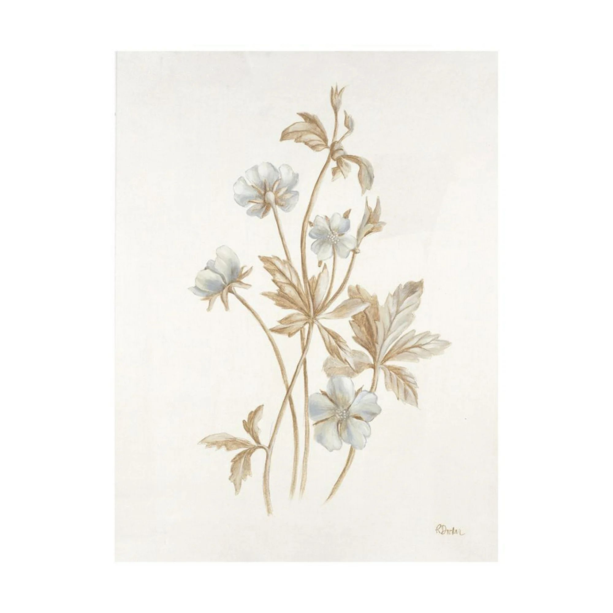 French Botanicals III Print Wall Art By Rikki Drotar | Walmart (US)