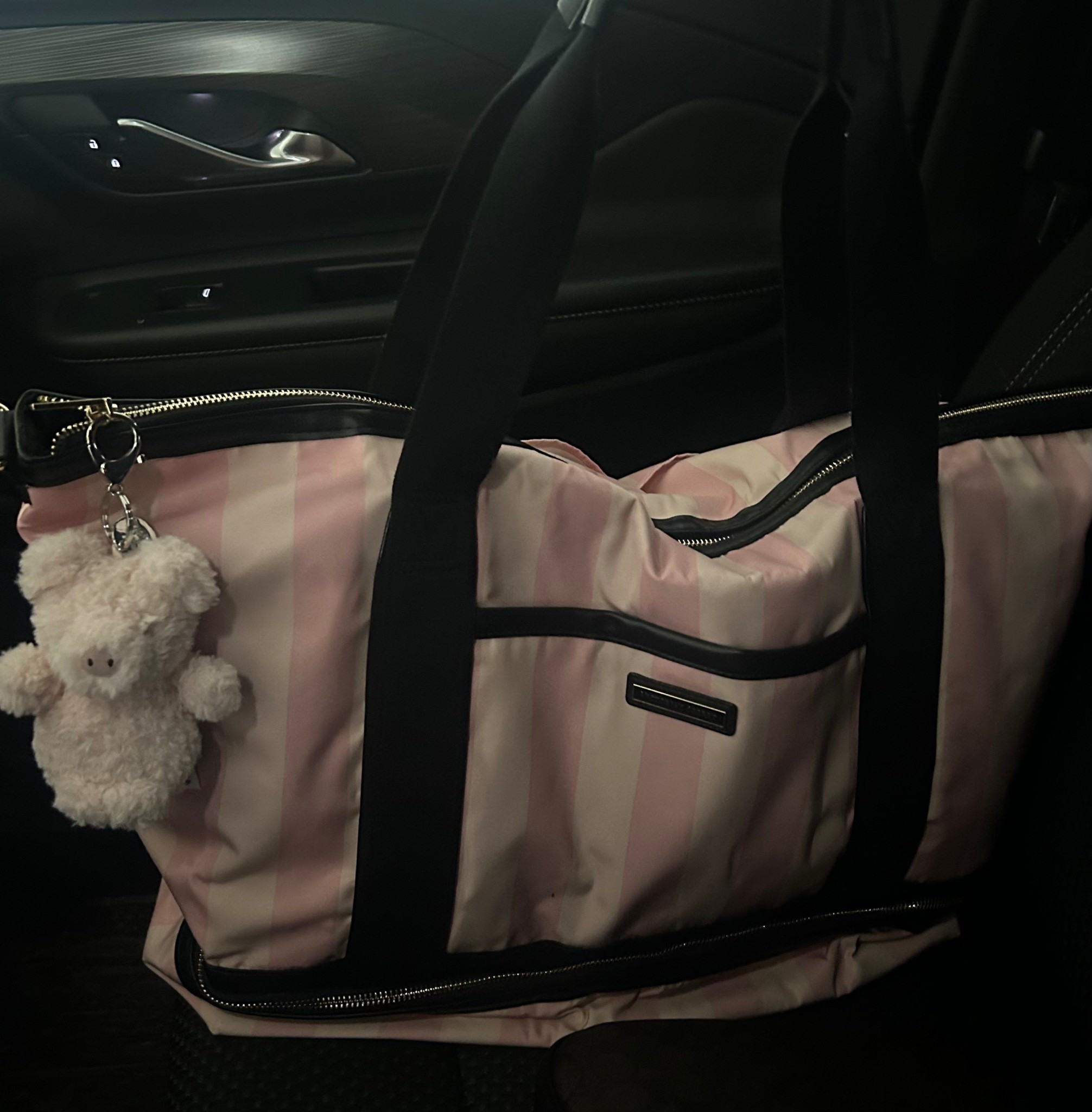 Victoria’s secret Weekender bag & Jellycat Pig Charm (out of stock) 🩷

#LTKbag #LTKcanada #LTKgiftguide