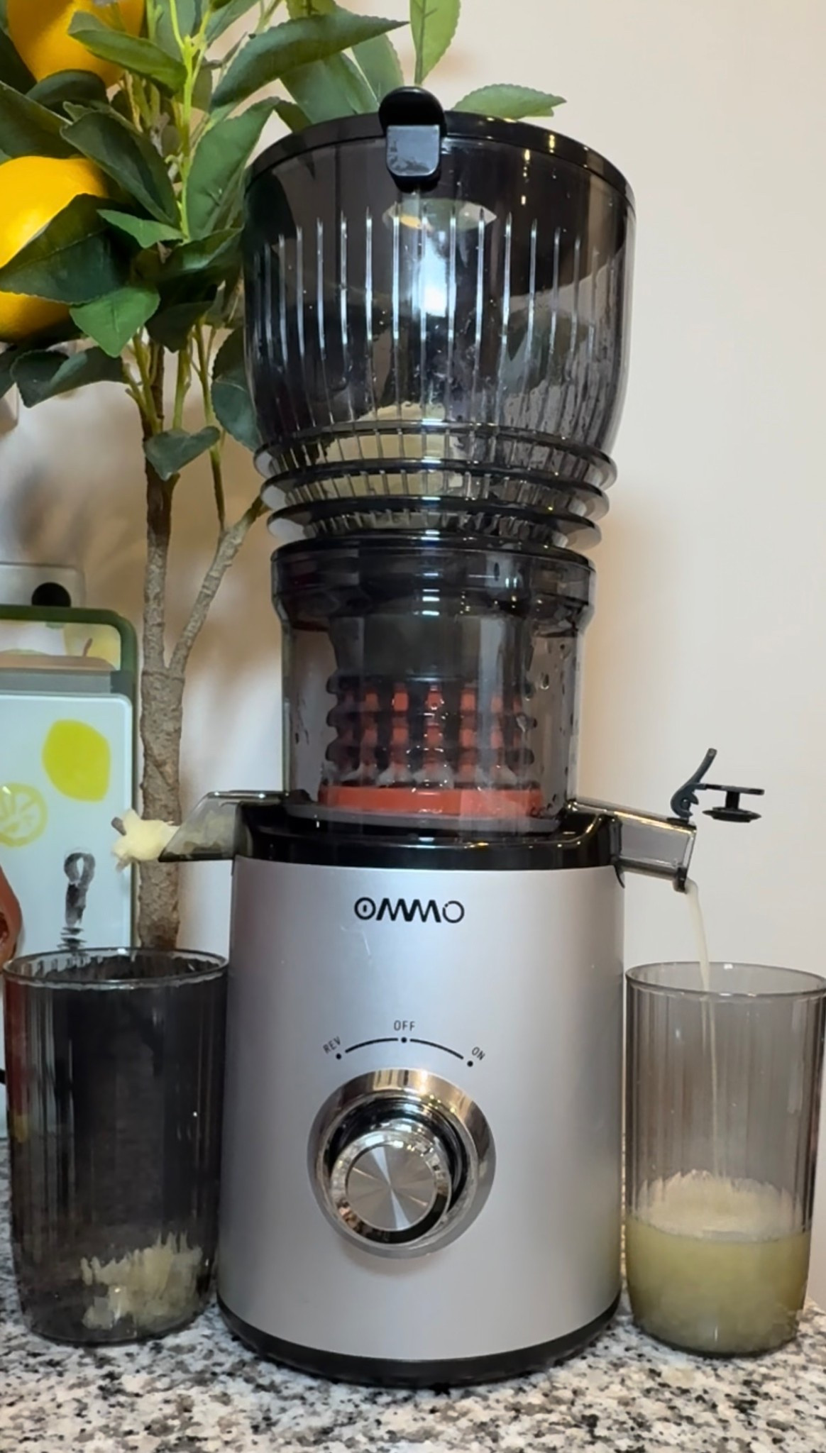 Great affordable juicer. Under $50

#LTKfoodie #LTKHome