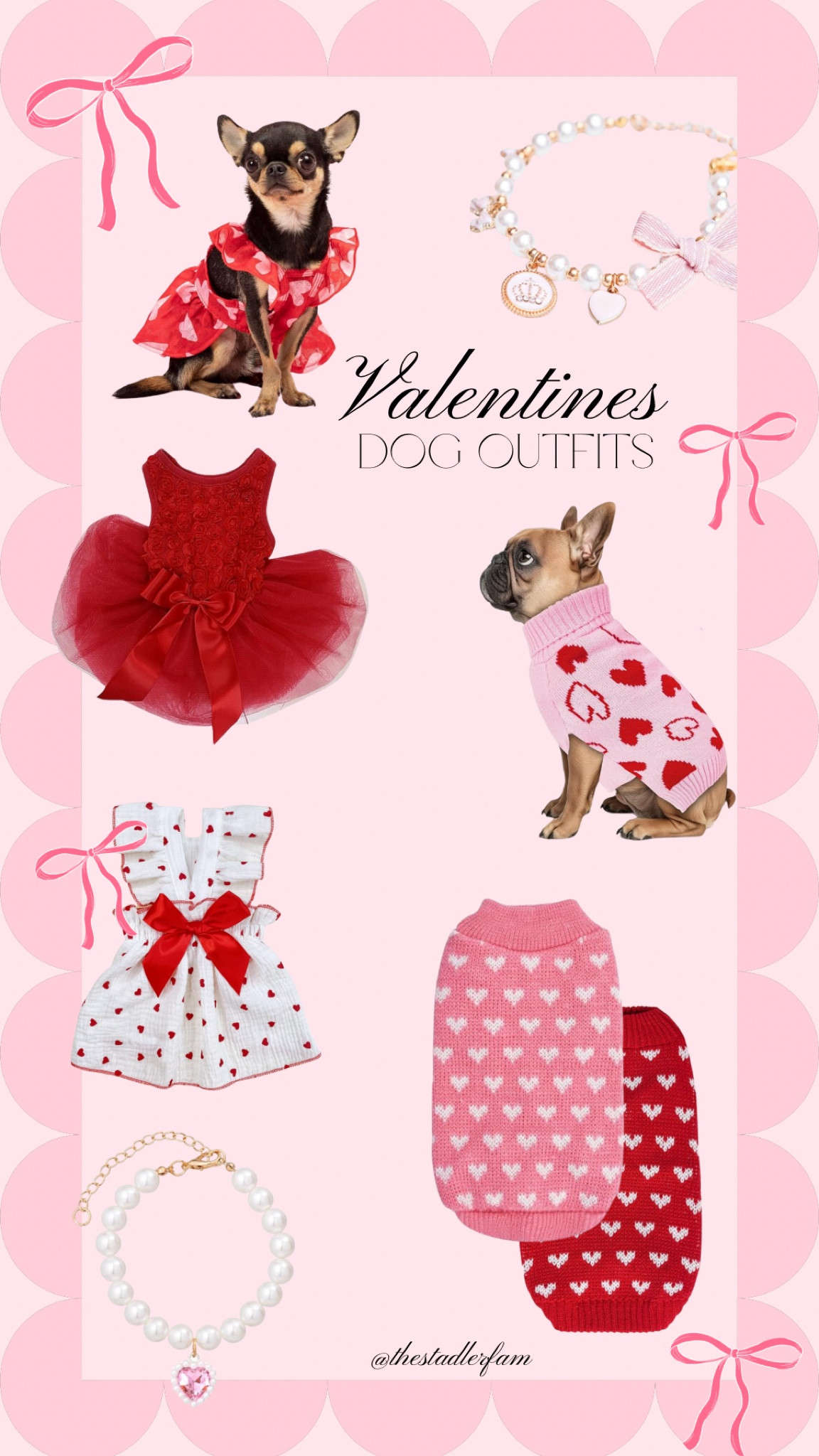 My recent Amazon order!! (everything in XS) #valentinesdaydog #valentinesdaydogoutfits 