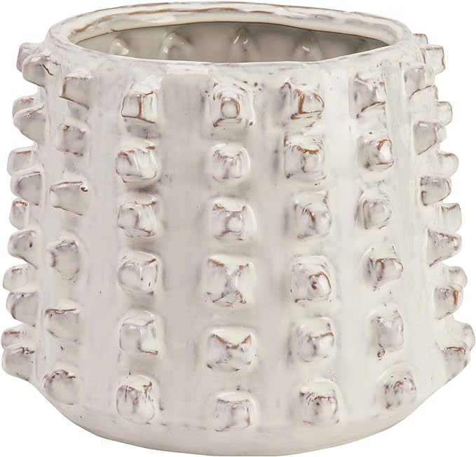 Visit the Creative Co-Op Store | Amazon (US)