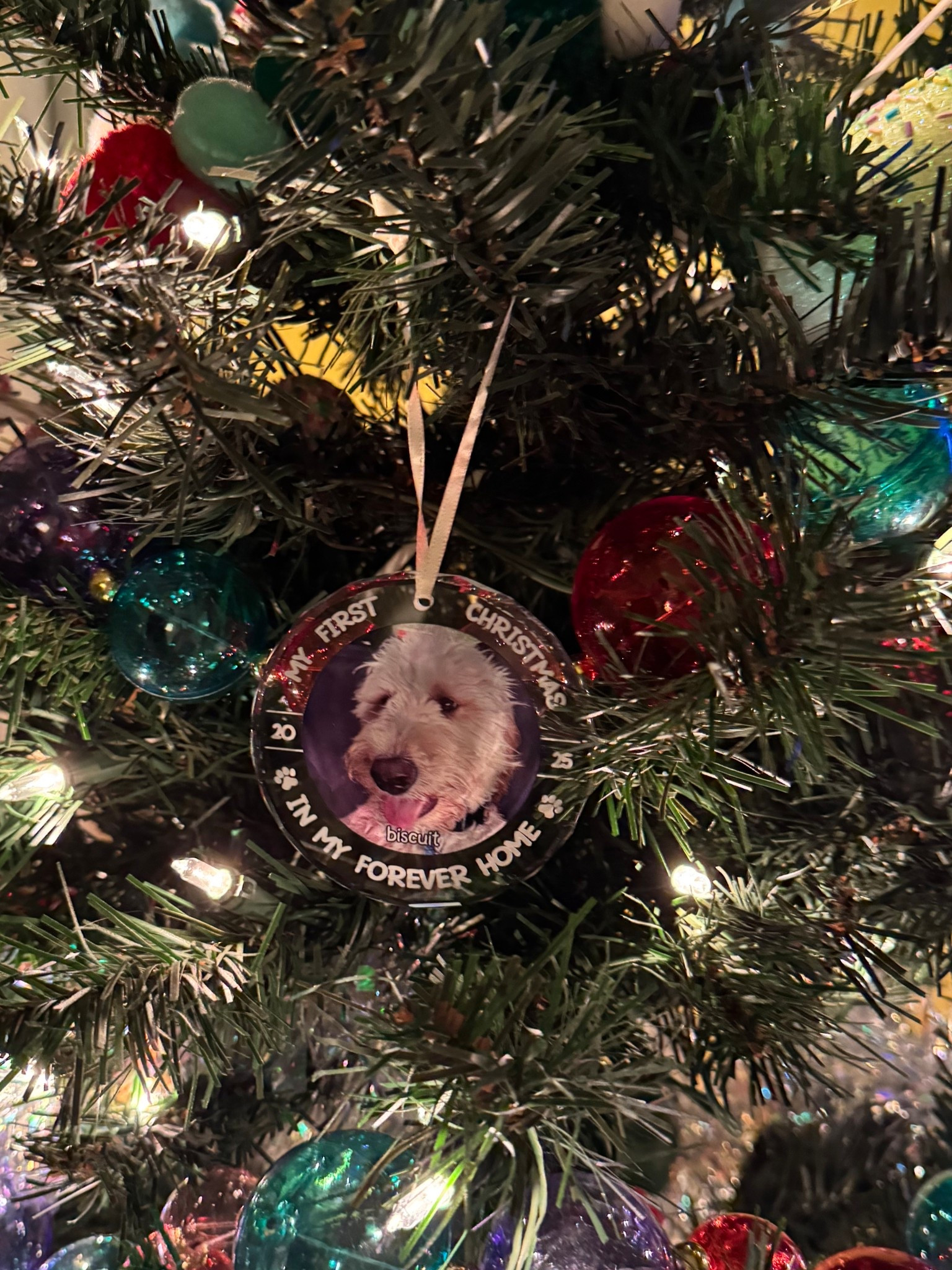 POV it’s your pups 1st Christmas!

#LTKFindsUnder50 #LTKHoliday #LTKSeasonal