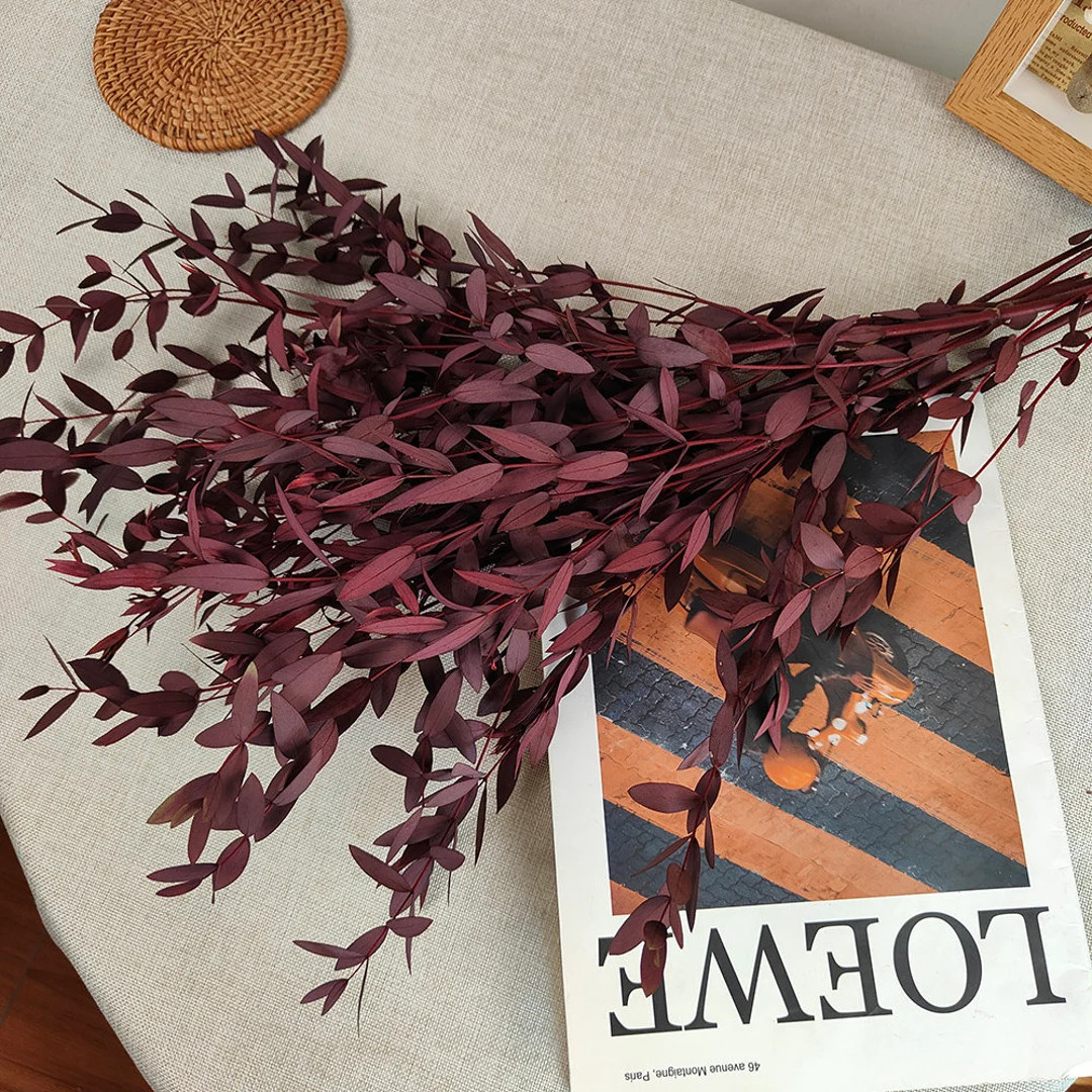 Dried Eucalyptus Leavessmall Leaf Eucalyptus Branchesdried Flowers Arrangementdried Eucalyptus We... | Etsy (US)