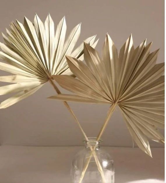NEW SUN PALMS 1-6pc - 10-16"Dried Sun Palm Spears/ Natural/Gold/Silver/ Home Decor/Vase Decor/Cen... | Etsy (US)