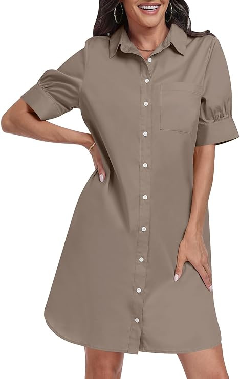 ANRABESS Womens Button Down Shirt Dress with Pockets Short Sleeve Loose Business Casual Summer Be... | Amazon (US)