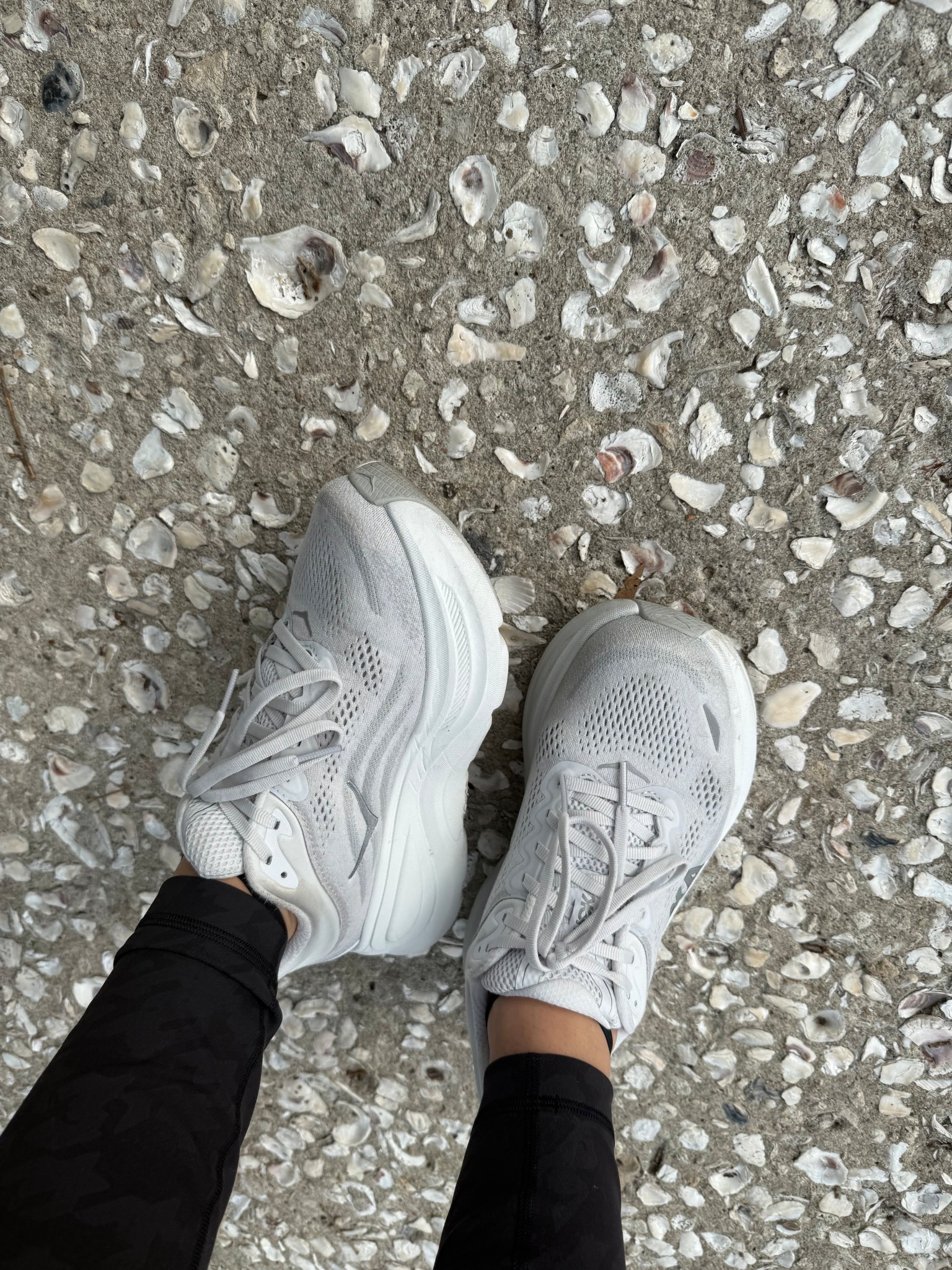 workout essentials: comfiest shoes ever owned 

#LTKFindsUnder50 #LTKSummerEdit #LTKShoeCrush