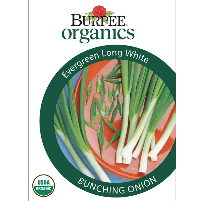 Burpee Organics Evergreen Long White Bunching Onion Seeds - Non-GMO, Organic Vegetable Gardening ... | Walmart (US)