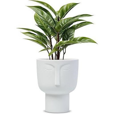 MEANT2TOBE ace Planters for Indoor Plants-Set of 1,White | Target
