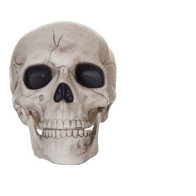Medium Halloween Skull - Hyde and Eek! Boutique™ | Target