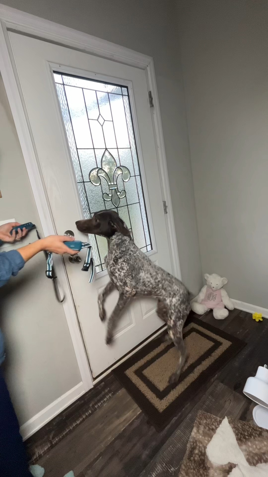 The Jugbow shock collar has become my favorite brand for Levee! We train our dogs to the sound of the beep, so no shock needed  

#LTKFamily #LTKPets #LTKFindsUnder50