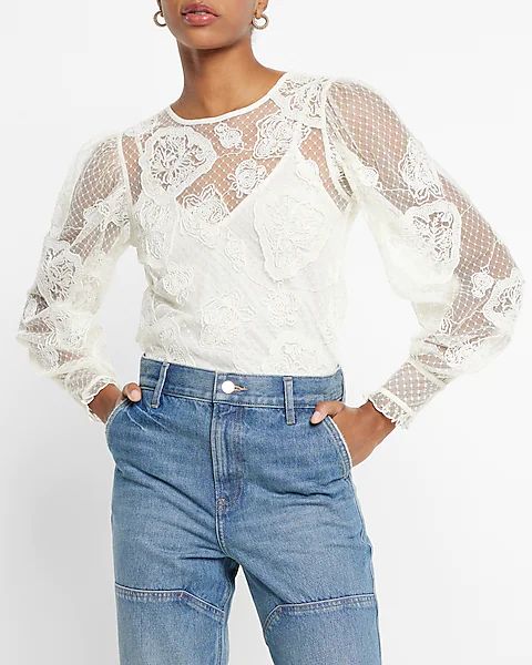 Lace Long Sleeve Crew Neck Top | Express