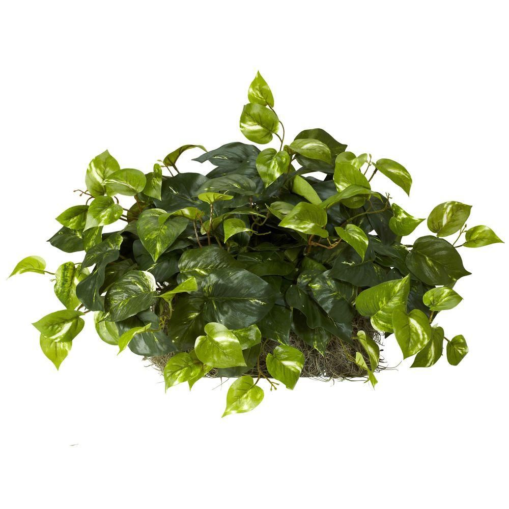 Nearly Natural 15 in. H Green Pothos Ledge Plant (Set on Foam) Silk Plant | The Home Depot