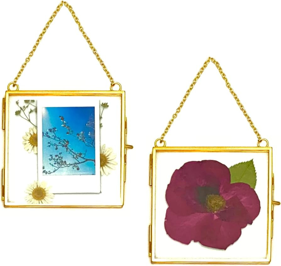 Amazon.com - Glass Frame for Pressed Flowers, Leaf and Artwork - Hanging Gold 6x6 Square Metal Pi... | Amazon (US)