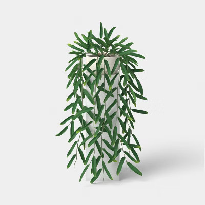 Trailing Leaf Plant - Threshold™ | Target