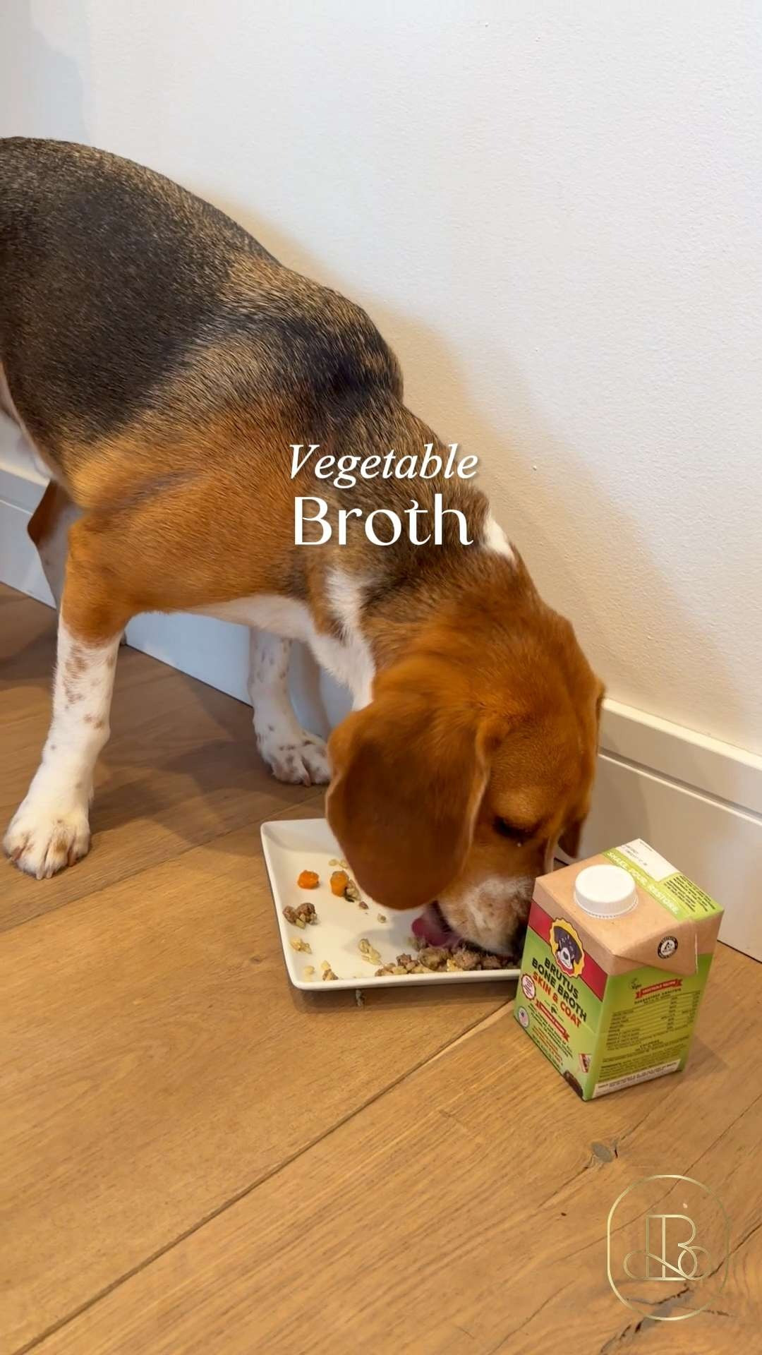 If you love treating your fur baby like absolute royalty but your schedule is packed with corporate calls, family schedules, and school drop-offs, this is your new favorite pantry staple. 😭 The Brutus Bone Broth Vegetable Broth is an absolute life-changer for busy pet parents. Great buy if you want a quick, clean, and mess-free pour-over to add essential hydration and flavor to dry kibble. 🐾 #dogmomlife #dogdad #dogessentials #petcare #morningroutine #dogwellness #healthypets #dogsofLTK  

#LTKHome