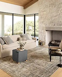 Loloi Amber Lewis x Morgan Sunset/Ink 8'-3" x 11'-3" Area Rug | Amazon (US)