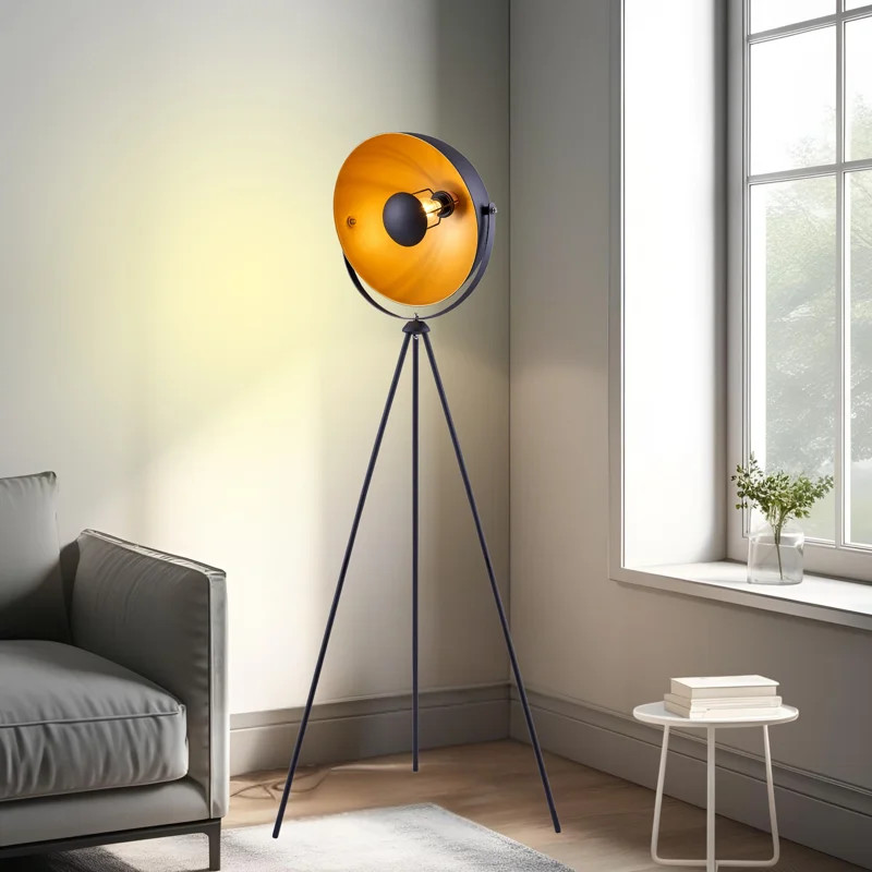 Brockington 63'' Matte Tripod Floor Lamp | Wayfair North America
