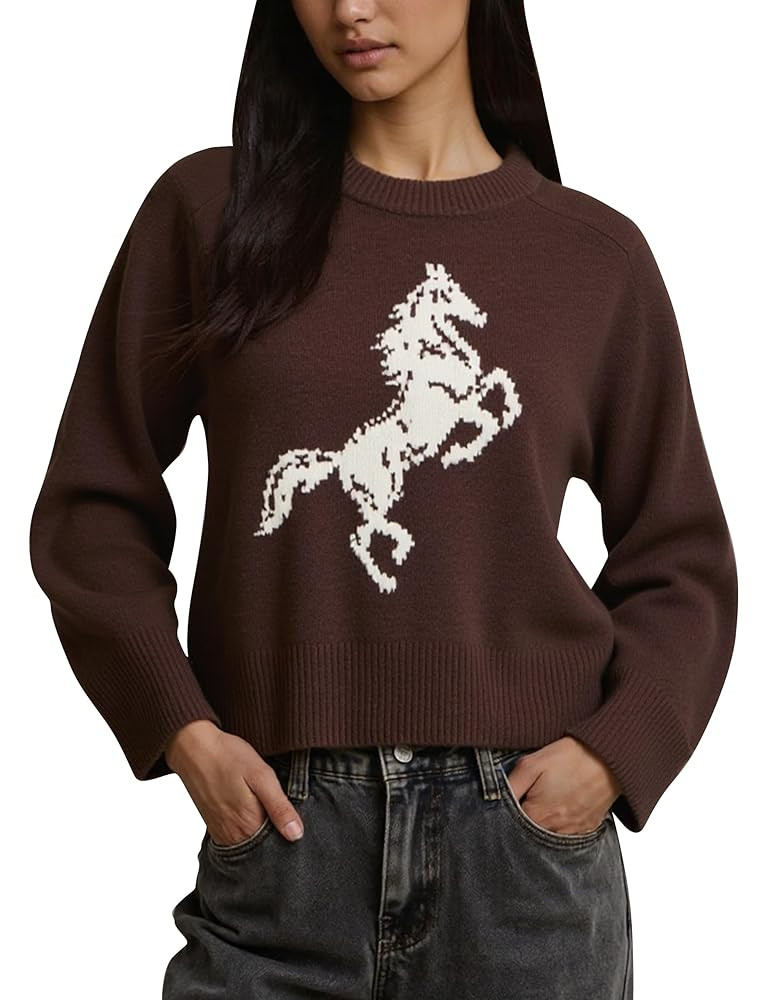 Graphic Sweater for Women Cute Horse Print Long Sleeve Crewneck Knit Pullover Jumper Casual Trend... | Amazon (US)