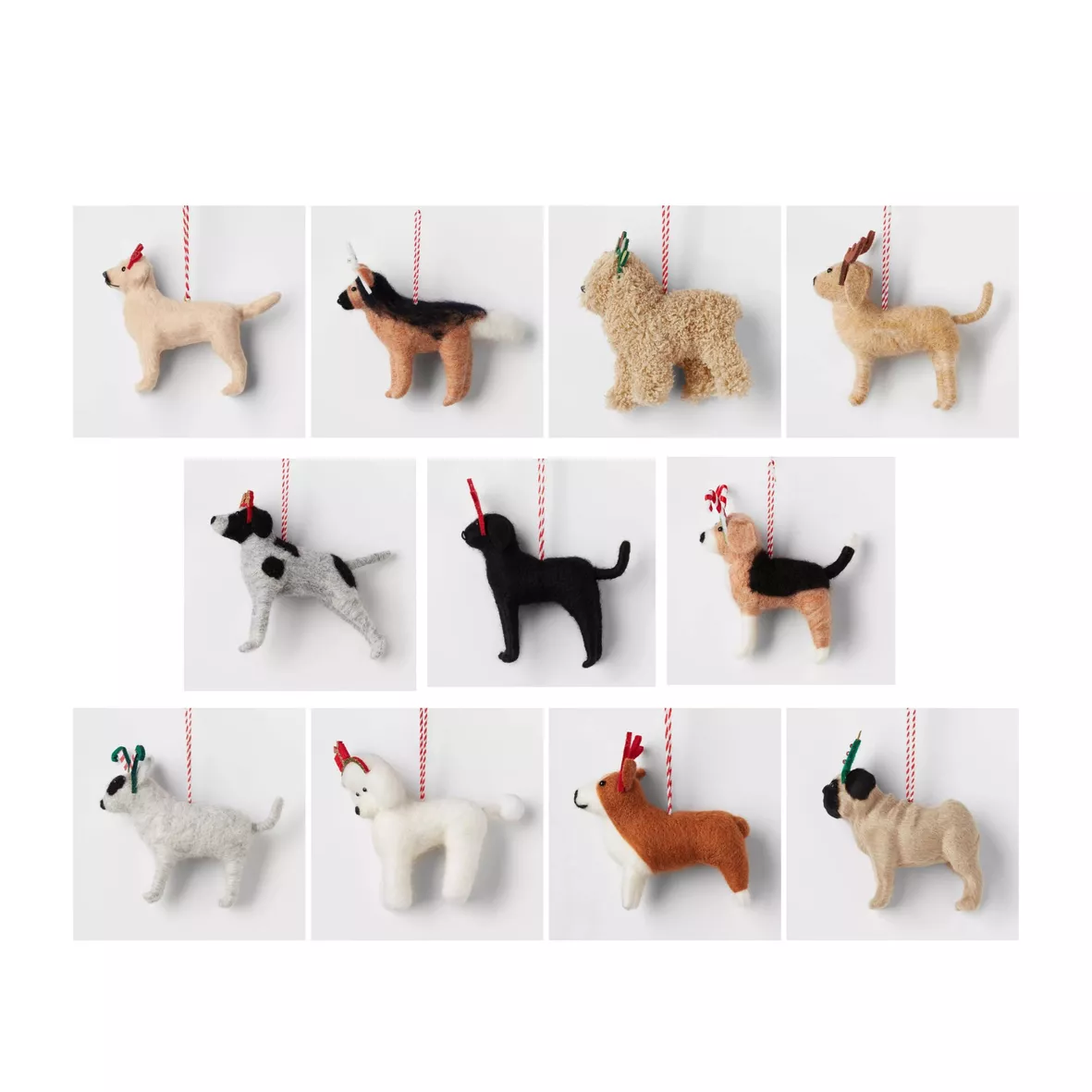 Pointer Dog Socks Gift Box curated on LTK