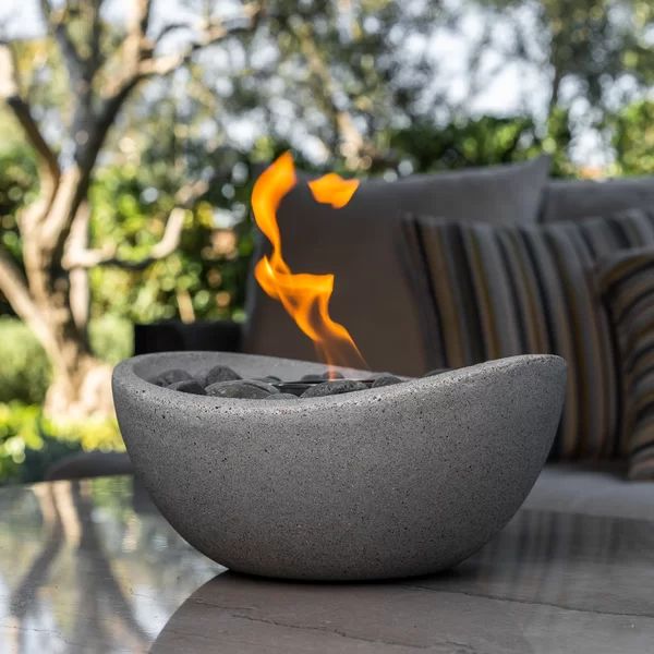 Wave Gel Tabletop Fireplace | Wayfair North America