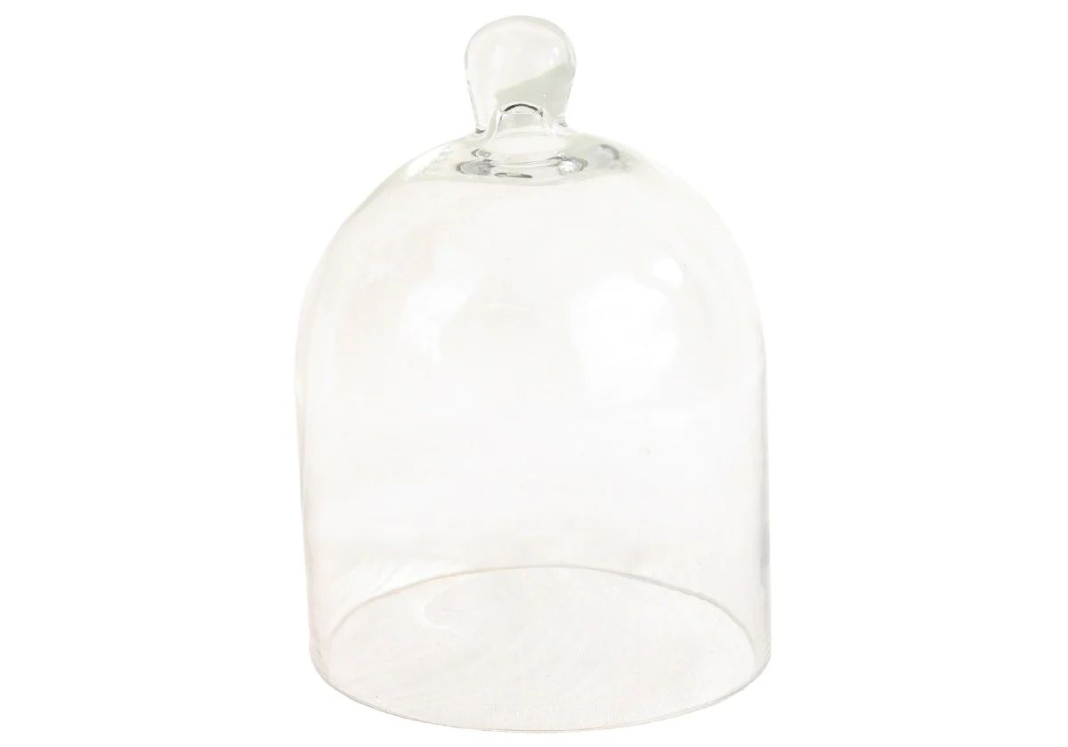 GLASS DOME | Alice Lane Home Collection