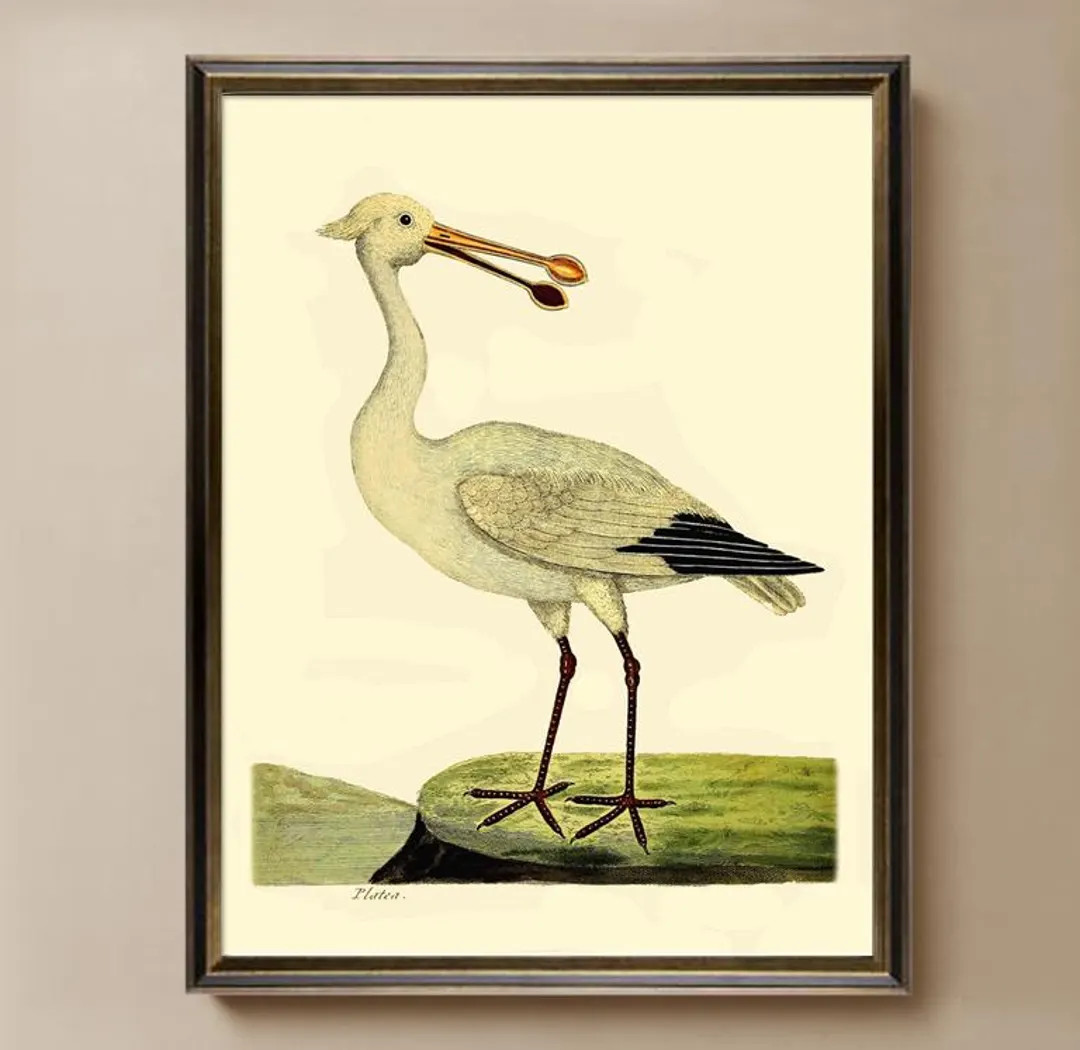 4 Vintage Bird prints watercolor prints, wall art birds, bird lover gift, home decor, Nature prin... | Etsy (US)