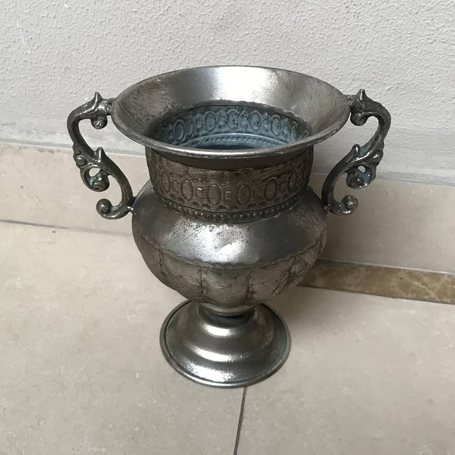 Handchic Vintage Rustic Silver Trophy Flower Vase for Decoration | Amazon (US)