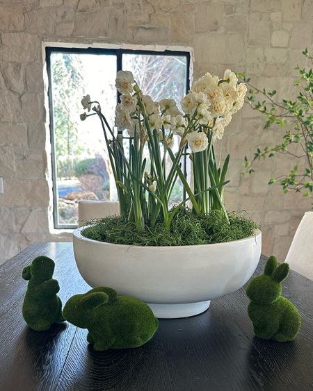 Easter centerpiece idea using three  6” potted white narcissus, a bag of Easter grass and a 16” diameter terracotta bowl. My exact grass bag and bowl are linked here!

#LTKhome #LTKSeasonal