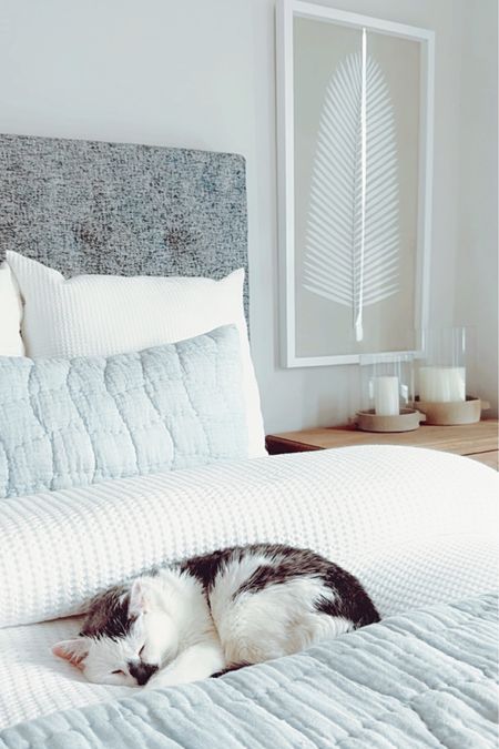Bedroom Inspo ☁️✨ Add these to make your home feel bright, airy, + cozy with a touch of modern coastal vibes 🌊🐚

Begin with a classic white foundation by using the best-selling white honeycomb duvet cover and matching pillow shams. These have a subtle texture so it’s not “blah.” 

My trick to making the bed look extra cozy, comfy, and cloud-like is by adding an extra Buffy comforter inside (or under) the duvet cover. 

Then, use the chambray cloud quilt and matching shams to add a pop of color that gives the room the calming coastal color palette. Using these linens with different textures also adds dimension to the space!

Another way to add interest to the space is with decor! The white-washed wood bead chandelier adds character and charm while also functionally providing more light to brighten the room.

The Sausalito nightstands are shown in a seafrift finish which gives the bedroom a beachy, coastal look. They are very solid and provide wide drawers for storage. This collection from Pottery Barn has a variety of size options and matching furniture (like dressers, storage…)

The ivory chunky knit sweater handwoven rug makes the room feel cozy all year long! It comes in a variety of sizes. We used the 9'x12’ to go with our king bed.

The artisan handcrafted ceramic hurricane candleholders in white gray compliment the nightstands!

The palm leaf wall art helps to balance the room and adds to the coastal feel. 

Modern Coastal Bedroom, Master Bedroom, Home Decor, Modern Coastal Home, Coastal Bedroom, Neutral Home Decor, Bedding, Pottery Barn, Bedroom Inspiration, Neutral Bedroom, Florida Home, Beach House, Home Inspo, Neutral Home, Neutral Bedroom, guest bedroom, beach home, bedroom styling, bedroom wall art, bedroom chandelier, beaded chandelier, wood bead chandelier, master bedroom styling, master bedroom decor, beach home decor, Sausalito nightstand, natural wood nightstand, bedroom set, bedroom furniture, master bedroom bedding, neutral bedding, coastal bedding, white bedding, blue bedding, nightstand styling, console table styling, cozy bedroom

#LTKstyletip #LTKsalealert #LTKhome