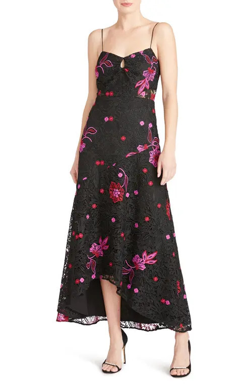 ML Monique Lhuillier Sleeveless Embroidered Lace A-Line Dress in Black Multi at Nordstrom, Size 6 | Nordstrom